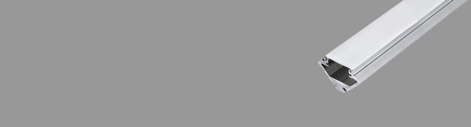 PRAN20_TopBanner
