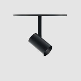 LABLE 4 CANOPY – Cylinder Monopoint  Projector