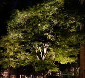 Soirée de Catirpel | Washington, D.C.